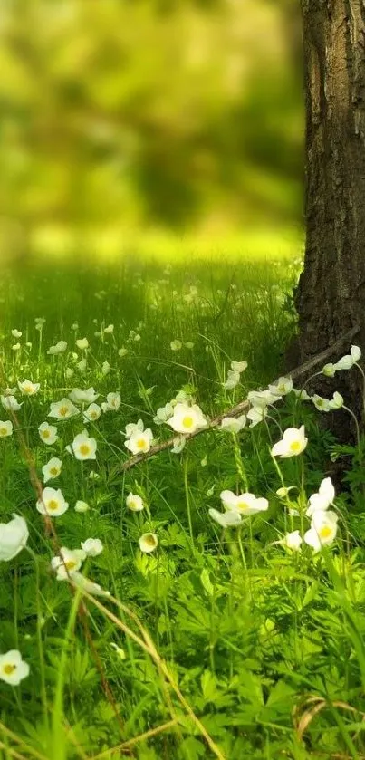 Serene green field with white flowers and tree trunk.