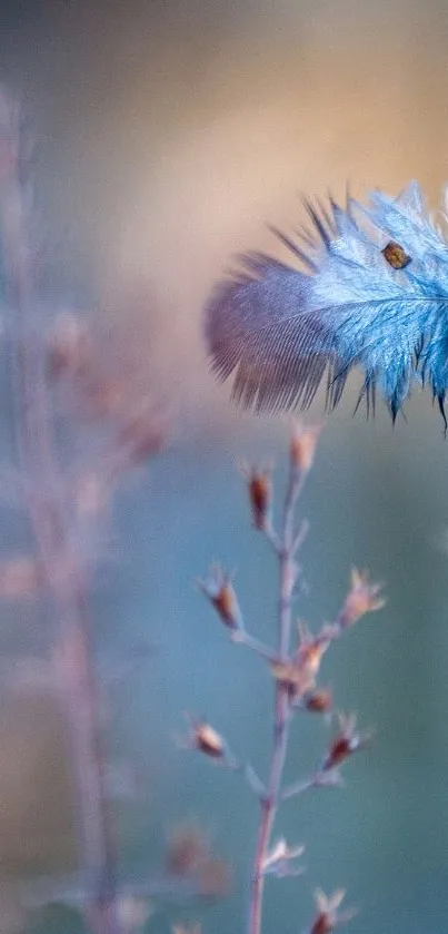 Calm blue feather on branch mobile wallpaper.