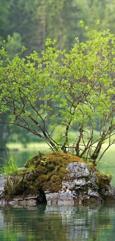 Serene green island in a reflective lake.