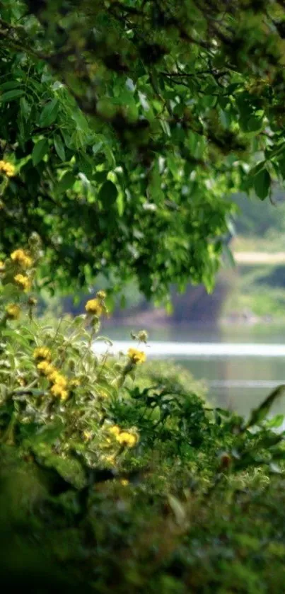 Serene lake view with lush greenery and yellow flowers.