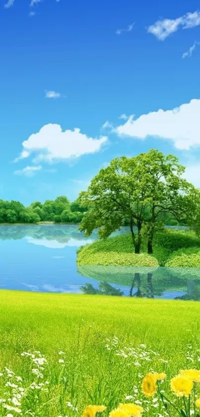 Green nature landscape with tranquil lake and blue sky.
