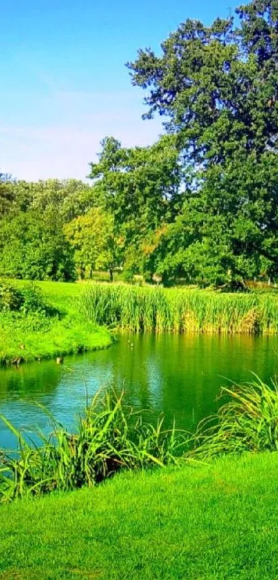 Serene landscape with green river and trees under blue sky.