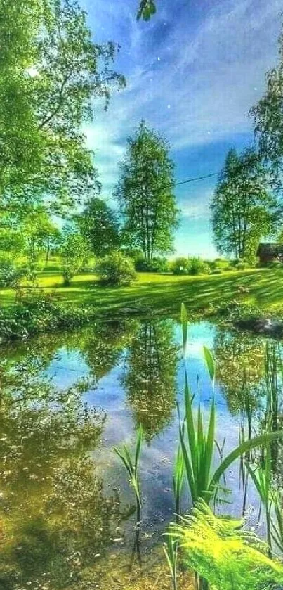 Serene landscape with green trees, a pond, and a clear blue sky.