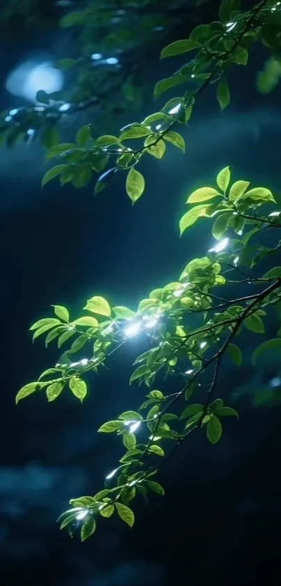 Vibrant green leaves with soft light on dark background.