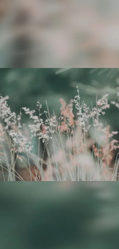 Delicate wildflowers on a pastel green background.