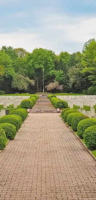 Tranquil path through lush greenery on a sunny day.