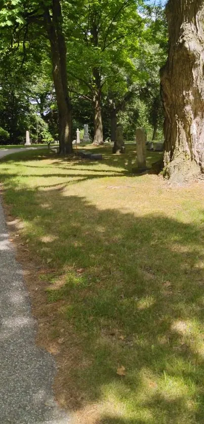 Serene pathway through lush trees and sunlight.