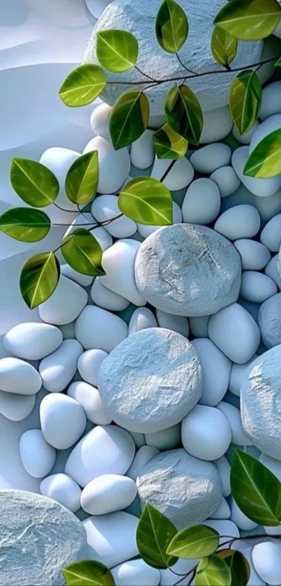 Pebbles and green leaves on serene white background.
