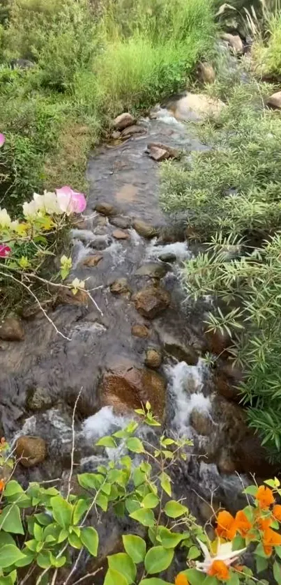 Serene nature wallpaper with a calm stream and lush greenery.