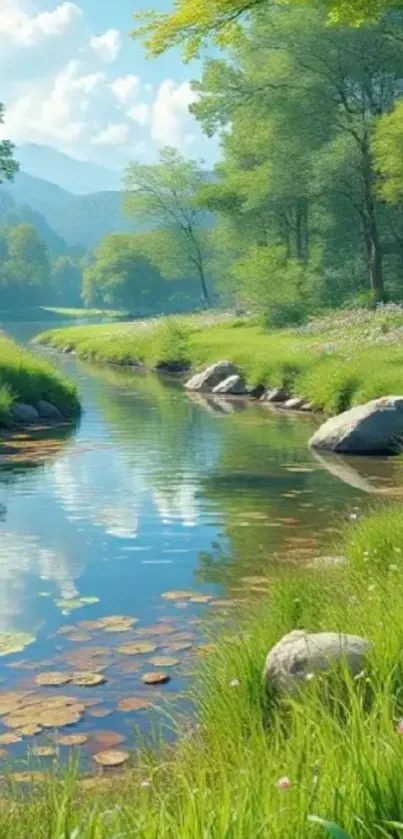 Serene nature stream with lush greenery and clear sky.