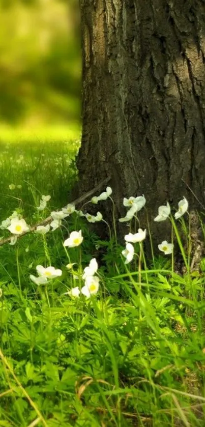 Tree trunk with wildflowers in sunlight.