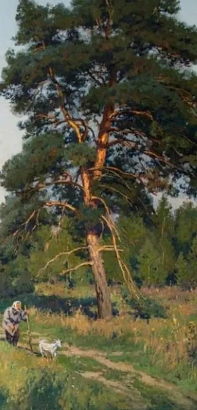 Portrait of a pine tree with countryside path and greenery on a sunny day.