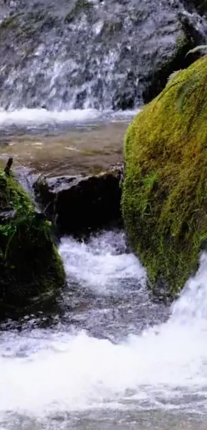 Tranquil waterfall flowing between moss-covered rocks.