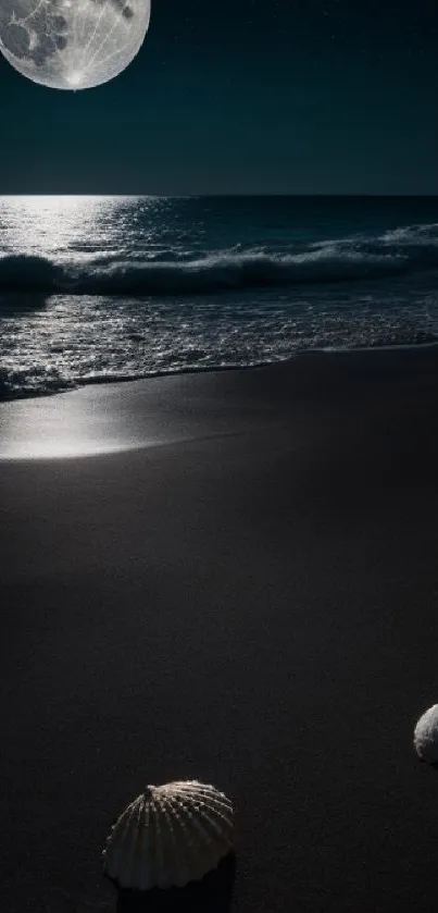 Moonlit beach with seashells at night.