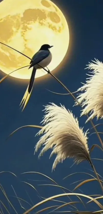 Bird on reeds with full moon background at night.