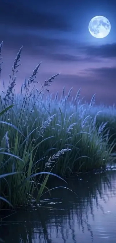 Peaceful night lake scene with moonlit sky and grass.