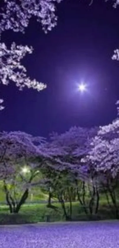 Serene night with cherry blossoms and moonlit purple sky.