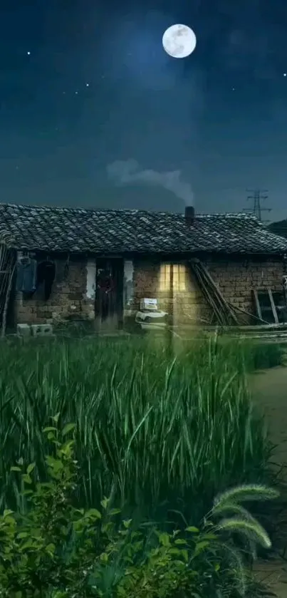 Moonlit rural farmhouse with lush fields under a starry night sky.