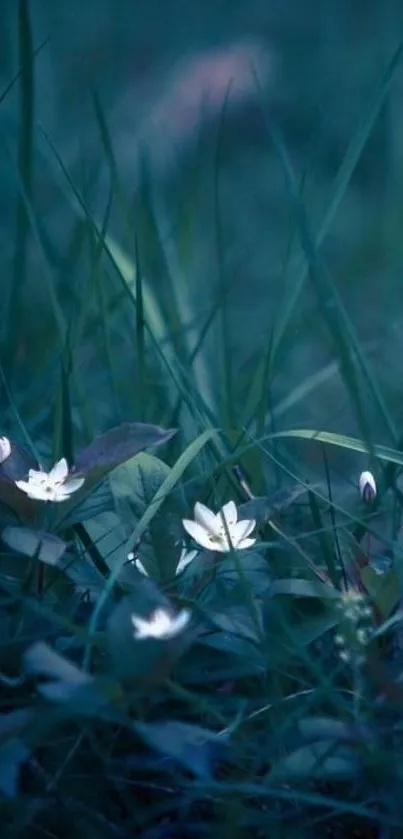 Calming forest night with delicate white blossoms and lush green leaves.