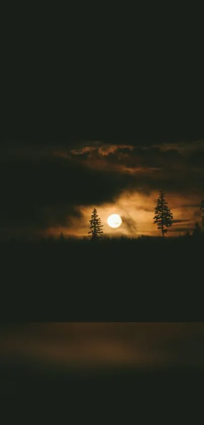 Serene night forest scene with a glowing full moon.