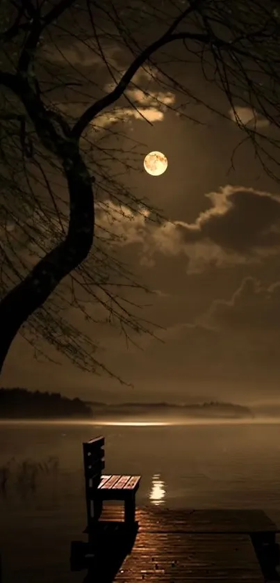 Serene night view of a lake under a full moon.