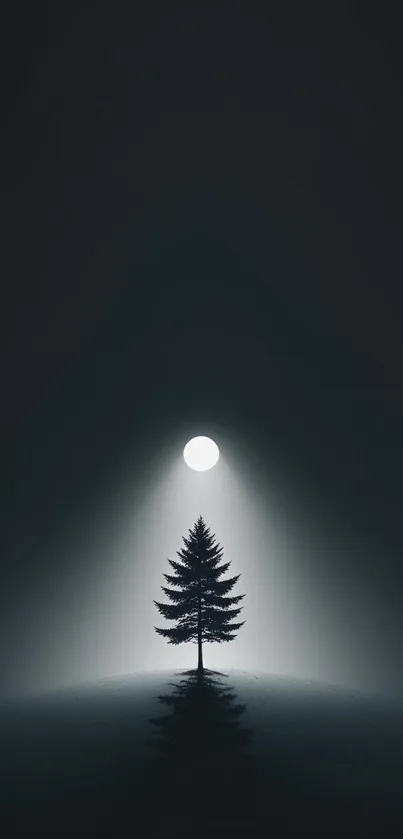 Dark night landscape with a tree and moonlight.