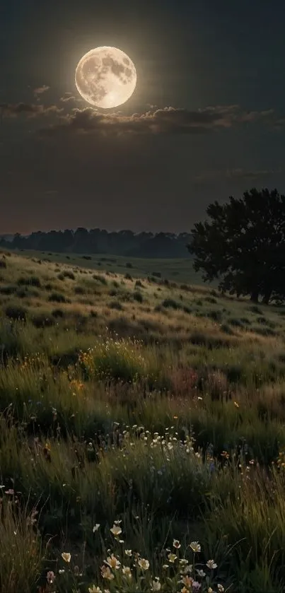 Moonlit forest and grassy field under night sky.