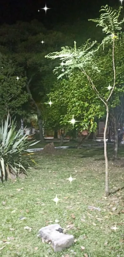 Nighttime park scene with trees and greenery.