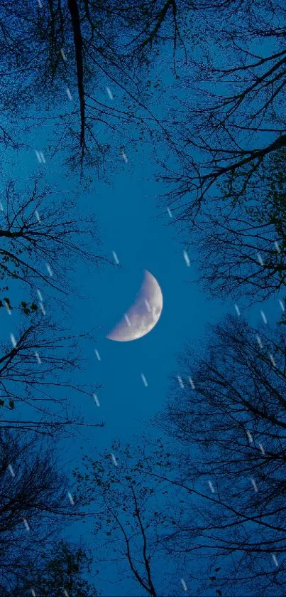 Crescent moon and trees under a deep blue night sky.