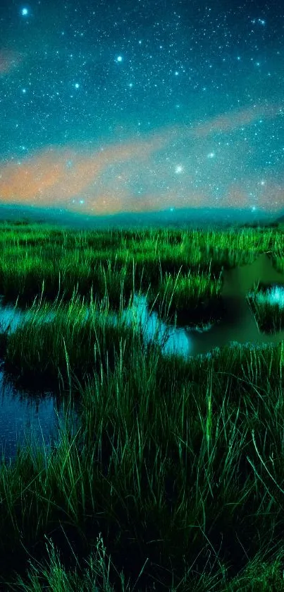 Starry night sky over green fields and calm waters, creating a serene landscape.