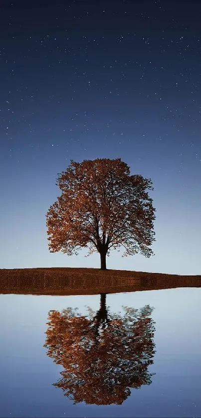 Lone tree reflected on a quiet lake under a starry night sky.