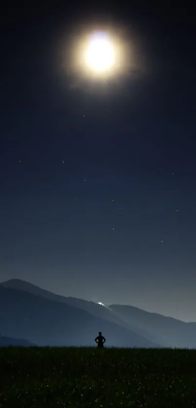 Silhouette under a full moon in a serene night landscape.