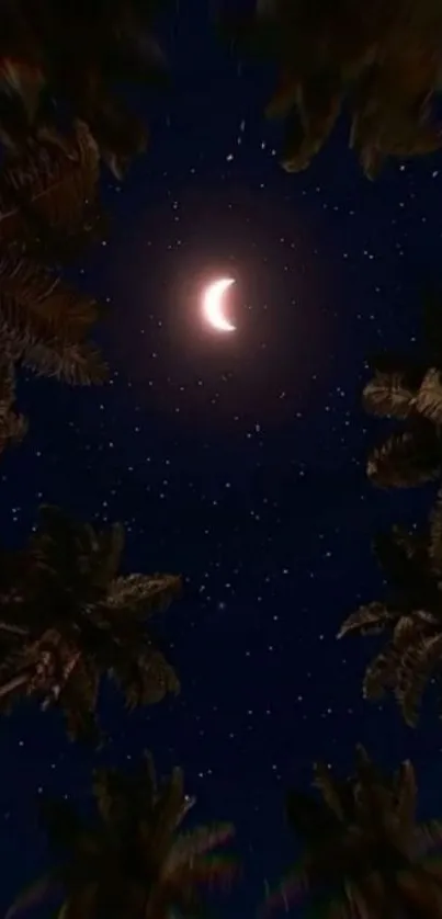 Crescent moon and stars with silhouetted palm trees at night.