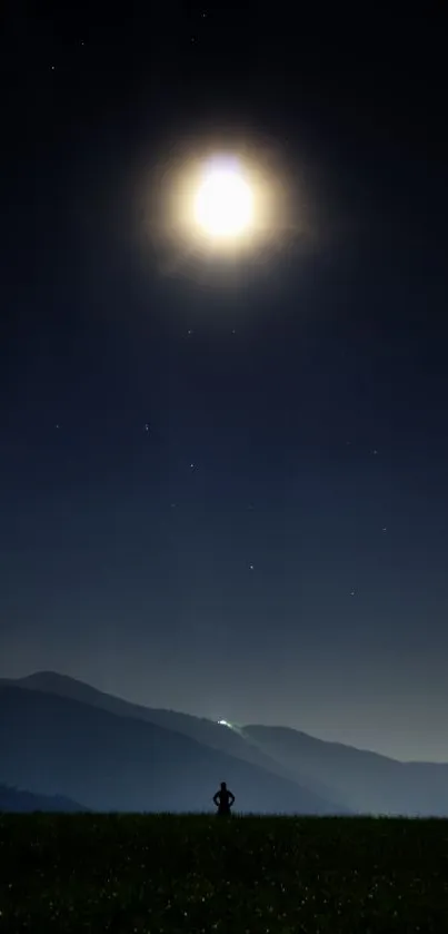 Silhouetted figure under moonlit night sky with stars and dark blue horizon.