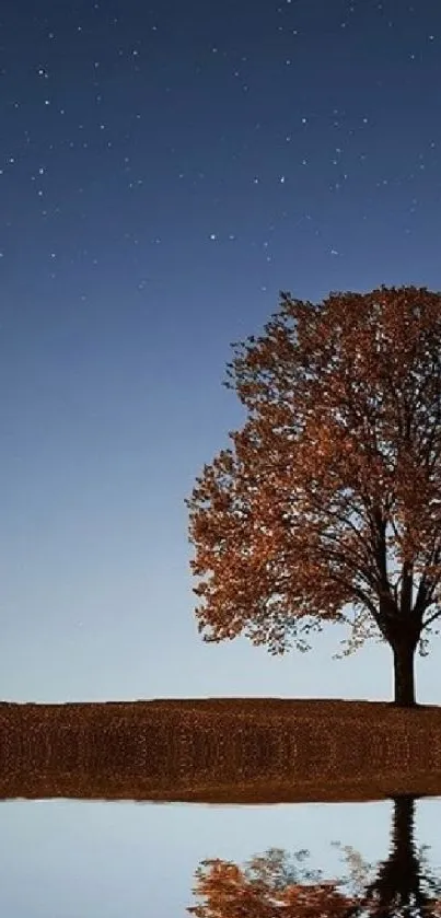 A lone tree under a starry night sky, reflecting in water.