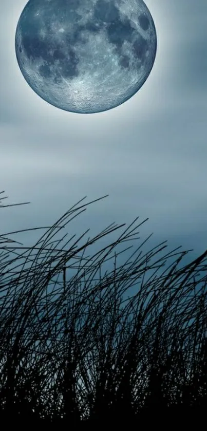 Full moon with silhouetted grass under a night sky wallpaper.