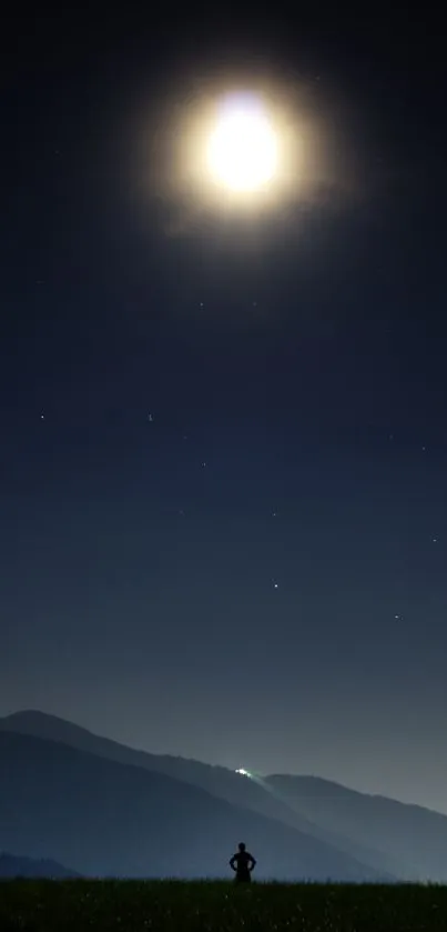 Serene night sky with full moon and silhouette.