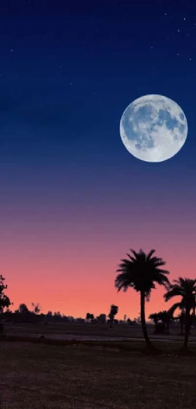 Serene night view with moon and palm tree silhouettes against a colorful sky backdrop.