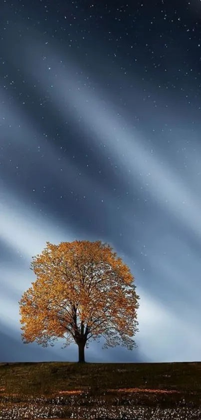 Solitary tree under a starry night sky wallpaper.