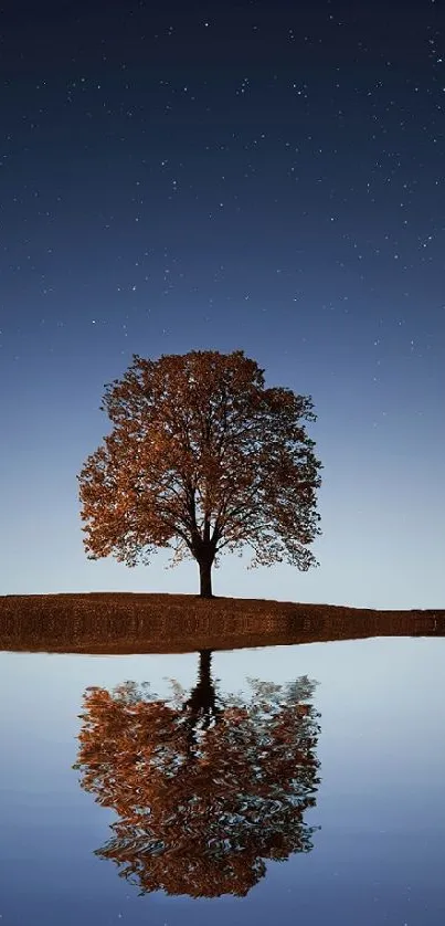 A lone tree reflected in a tranquil lake under a starry night sky.