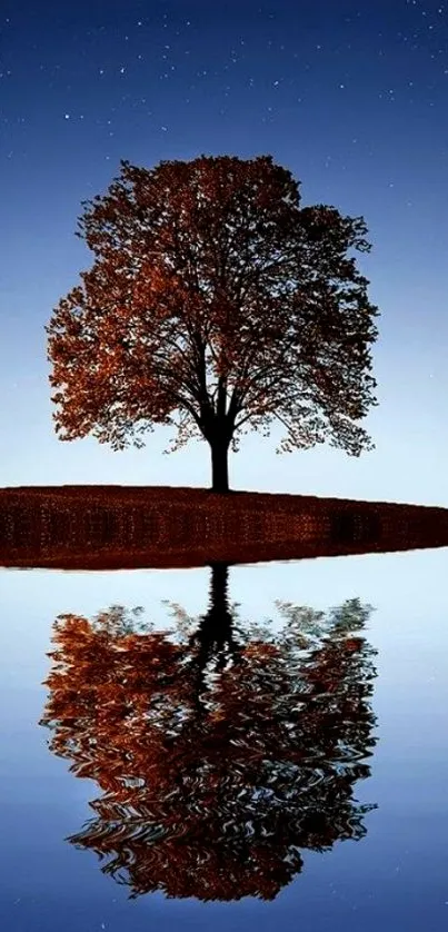 Lonely tree reflection under a starry night sky wallpaper.