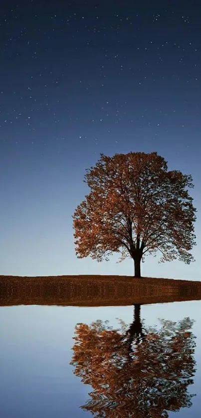 Nature wallpaper with lone tree reflection under starry night sky.