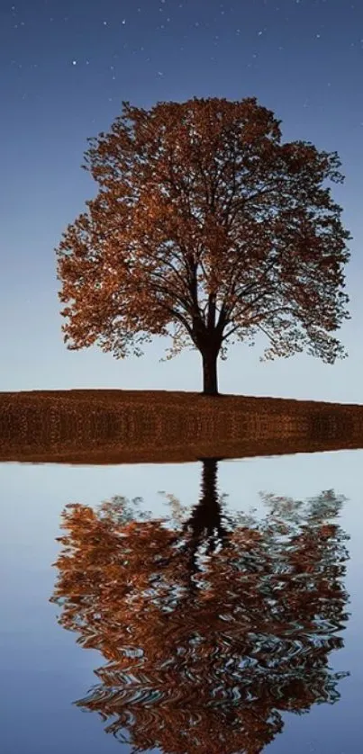 Lone tree reflected in a calm lake under a starry night sky.