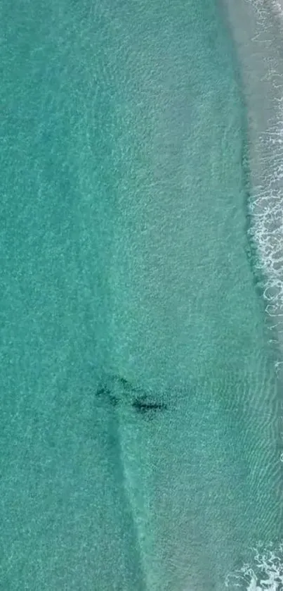 Aerial view of turquoise ocean with gentle waves and sandy shorelines.