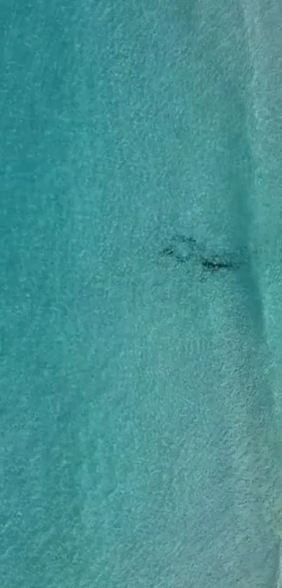 Aerial view of a serene ocean with gentle blue waves.