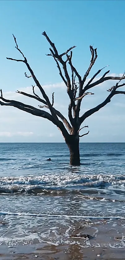 Lone bare tree in calm ocean scene with blue sky.