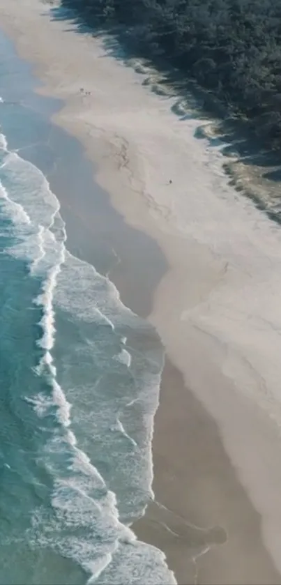 Aerial view of a tranquil beach with waves and dense forest.