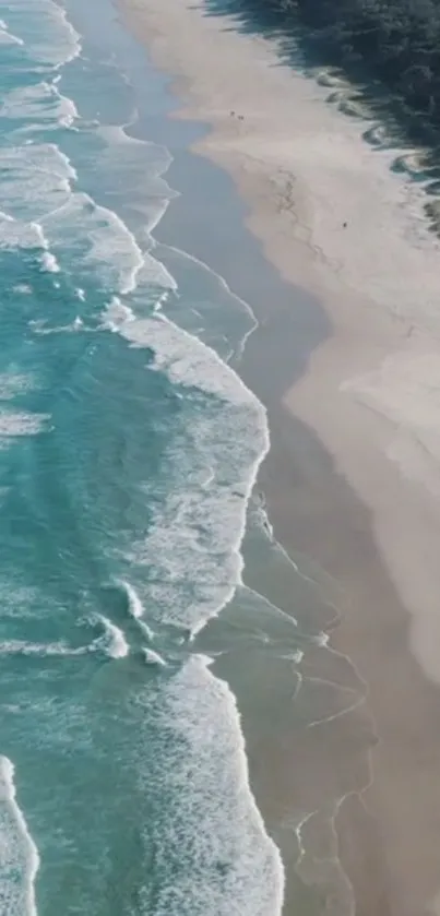 Serene ocean beach view with waves and sandy shore.