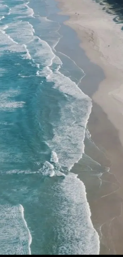 Aerial view of serene beach with ocean waves and sandy shore.