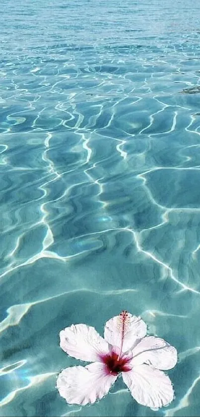 Turquoise ocean with floating blossom flower.